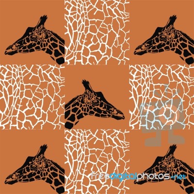 Giraffe Patterns Black And White With Brown Stock Image