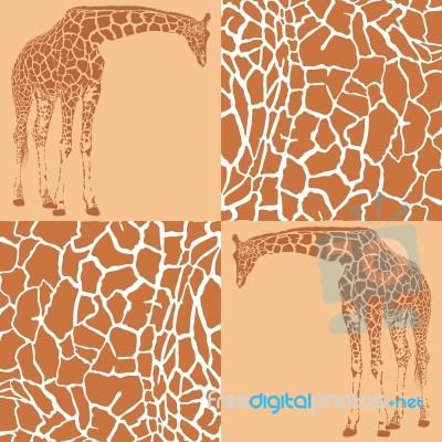 Giraffe Patterns For Wallpaper Stock Image