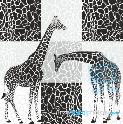 Giraffes And Camouflage Fur For Wallpaper Stock Image