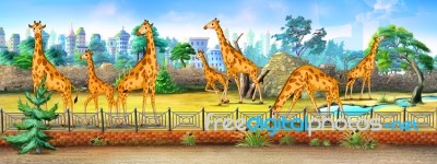 Giraffes In A Zoo Full Color Illustration Stock Image