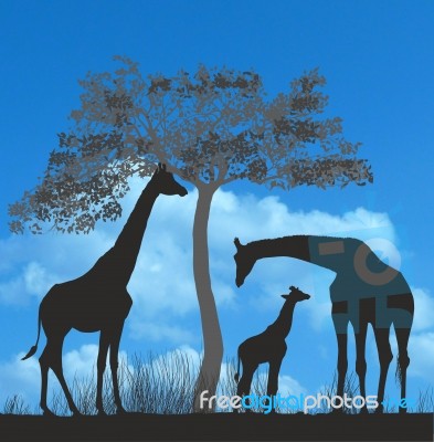 Giraffes On The African Savannah Stock Image