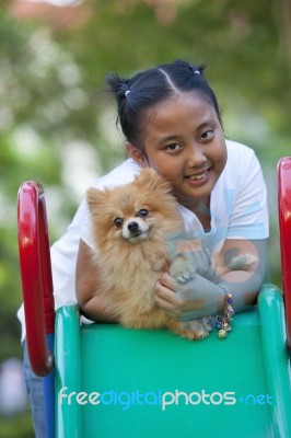 Girl And Pomeranian Dog In Field Stock Photo