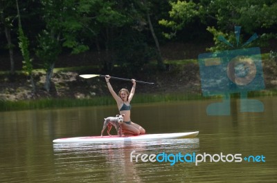 Girl And Schnauzer On Paddleaboard Stock Photo