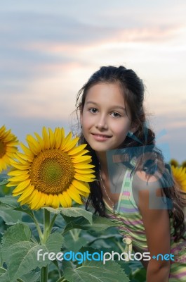 Girl And Sunflower Stock Photo