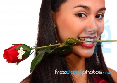 Girl Biting A Rose Stock Photo