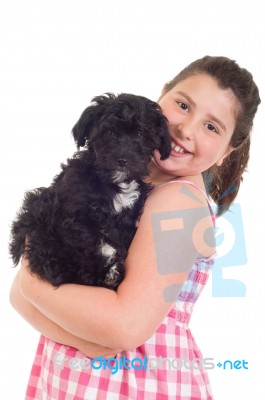 Girl Holding Dog Stock Photo