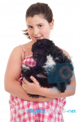 Girl Holding Dog Stock Photo