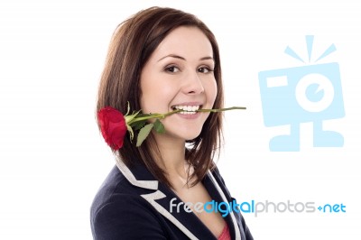 Girl Holding Rose Between Her Teeth Stock Photo