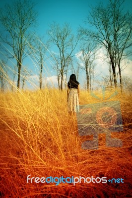 Girl Lost In The Woods  Stock Photo