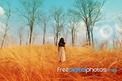 Girl Lost In The Woods  Stock Photo