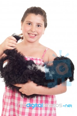 Girl Playing With Dog Stock Photo