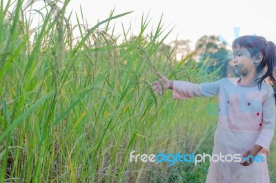 Girl Standing In The Field Of Rubber Happy Stock Photo