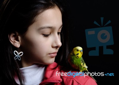 Girl With Budgie Stock Photo