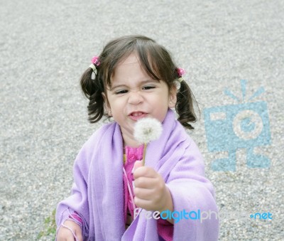 Girl With Dandelions Stock Photo