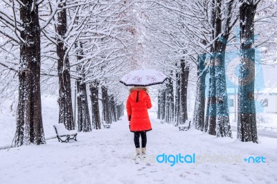 Girl With Umbrella Walking On The Path And Row Trees. Winter Stock Photo