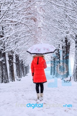 Girl With Umbrella Walking On The Path And Row Trees. Winter Stock Photo