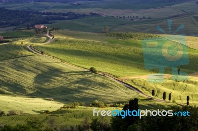 Gladiator Fields In Val D'orcia Tuscany Stock Photo