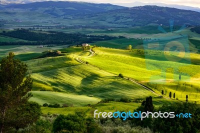 Gladiator Fields In Val D'orcia Tuscany Stock Photo