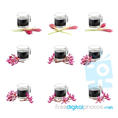 Glass & Ceramic Coffee Cup & Flowers Stock Photo