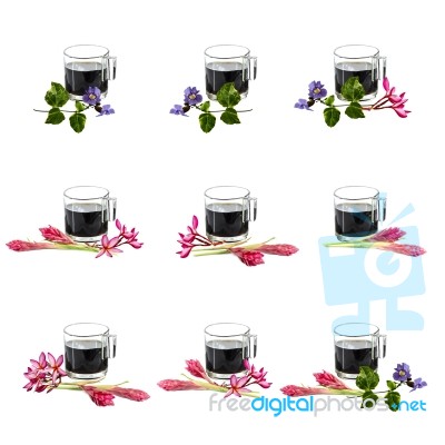 Glass & Ceramic Coffee Cup & Flowers Stock Photo