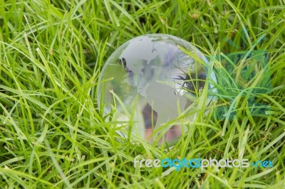 Glass Globe Stock Photo