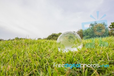 Glass Globe Stock Photo