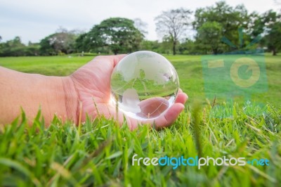 Glass Globe Stock Photo