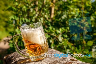 Glass Mug With Beer Standing On The Big Stone Stock Photo