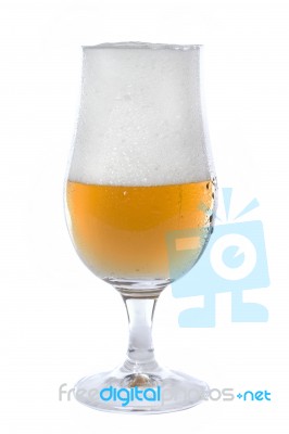 Glass Of Beer Stock Photo