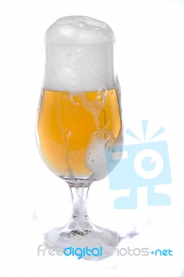 Glass Of Beer Stock Photo