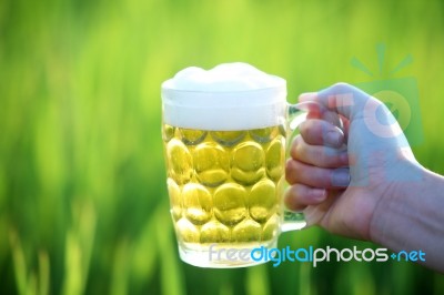 Glass Of Beer In Hand With Green Background Stock Photo