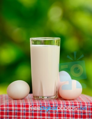 Glass Of Milk And Egg On Nature Background Stock Photo