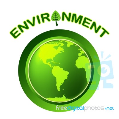 Globe Environment Represents Go Green And Earth Stock Image