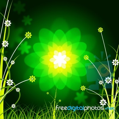 Glow Floral Shows Empty Space And Backdrop Stock Image