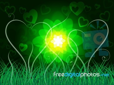 Glow Floral Shows Light Burst And Scenic Stock Image