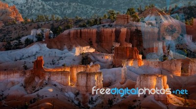 Glowing Hoodoos In Bryce Canyon Stock Photo