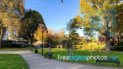 Goerge Green Tree Reflection Stock Photo