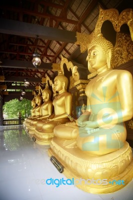 Gold Buddha Statues Stock Photo