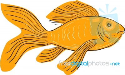 Gold Butterfly Koi Swimming Drawing Stock Image