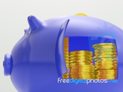 Gold Coins Shows Savings And Investment Stock Image