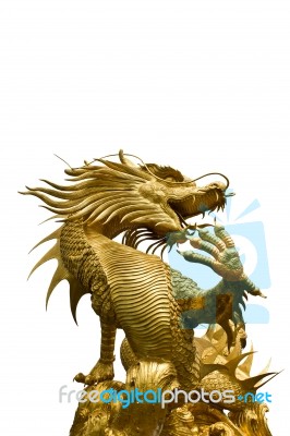 Golden Dragon Statue On White Backgroud Stock Photo