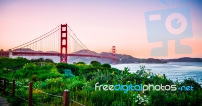 Golden Gate Sunset Stock Photo