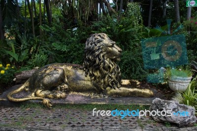 Golden Steel Lion Stock Photo