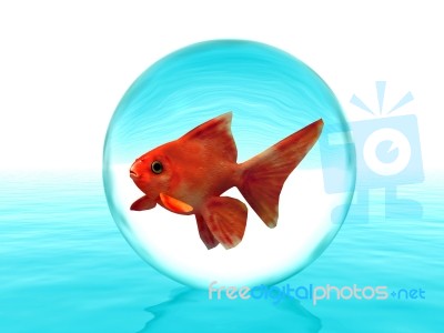 Goldfish In A Drop Stock Image