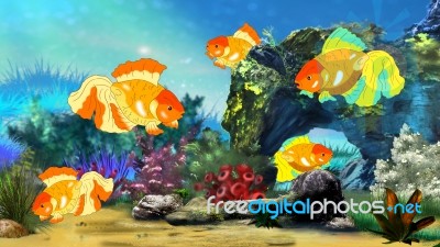 Goldfish Swimming In A Fish Tank Stock Image