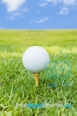 Golf Stock Photo