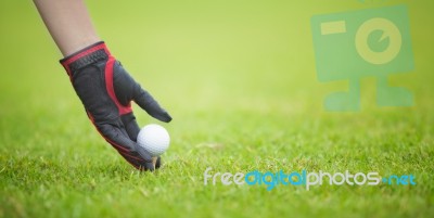 Golf Ball Stock Photo