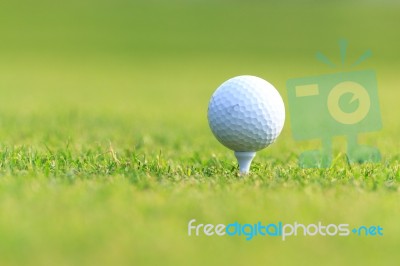 Golf Ball Stock Photo