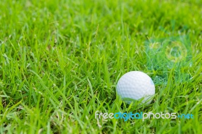 Golf Ball In The Rough Stock Photo