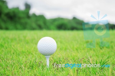 Golf Ball On Grass Stock Photo